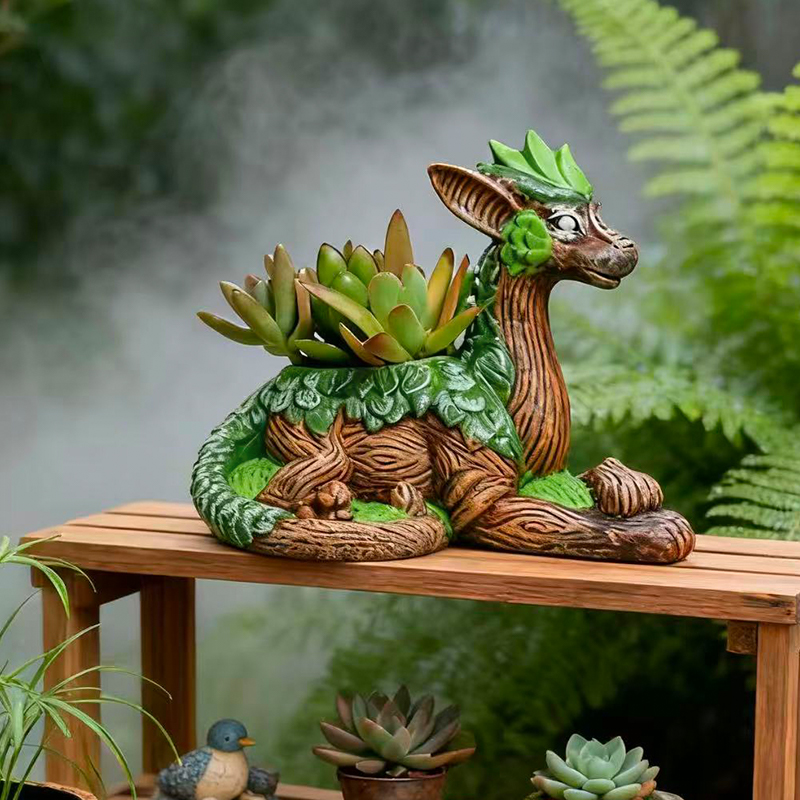 Echeveria Succulent - 창의적인 용나무 화분 다육 식물 화병