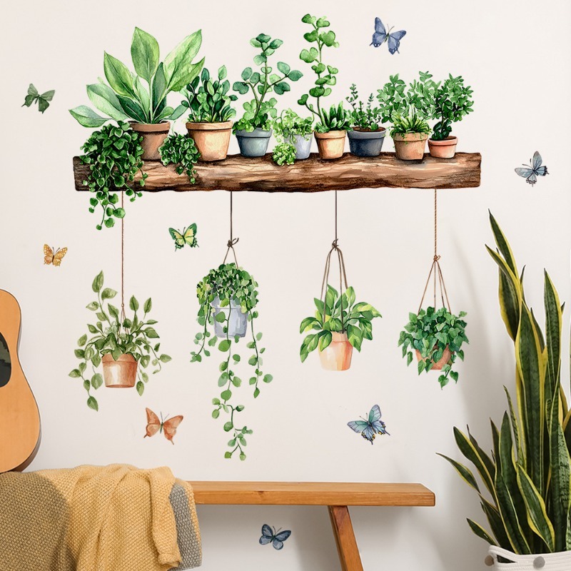 Echeveria Succulent - 3D 화분에 심은 녹색 식물 선반