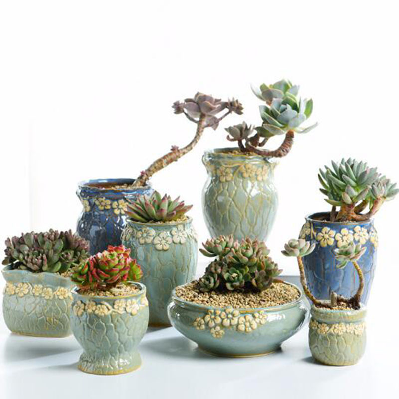 Echeveria Succulent - 다육 식물 화분 중소형 꽃병 레트로