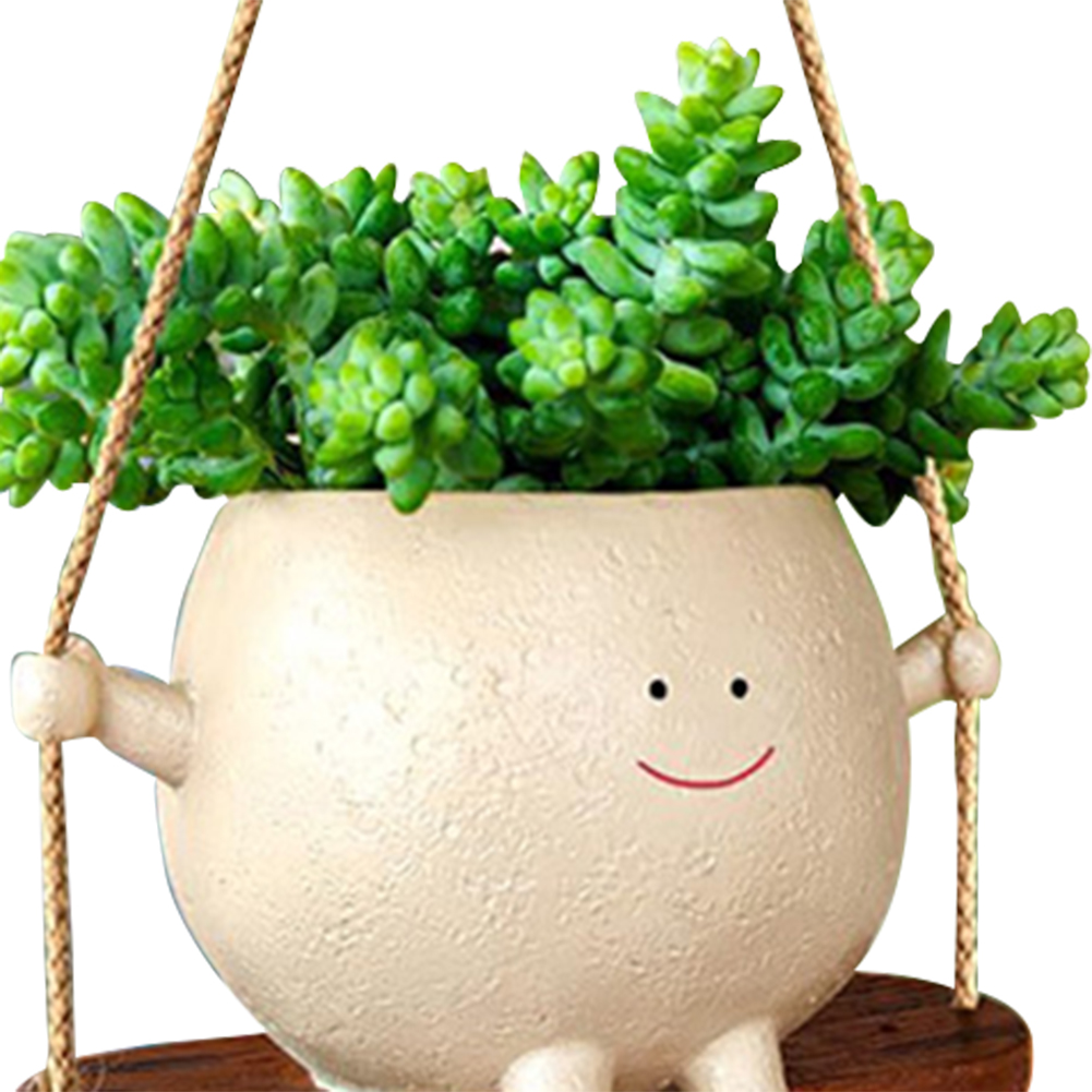 플랜트 행거 바스켓 사랑스러운 스윙 페이스 플랜터 화분 - Echeveria Succulent 리뷰 및 가격