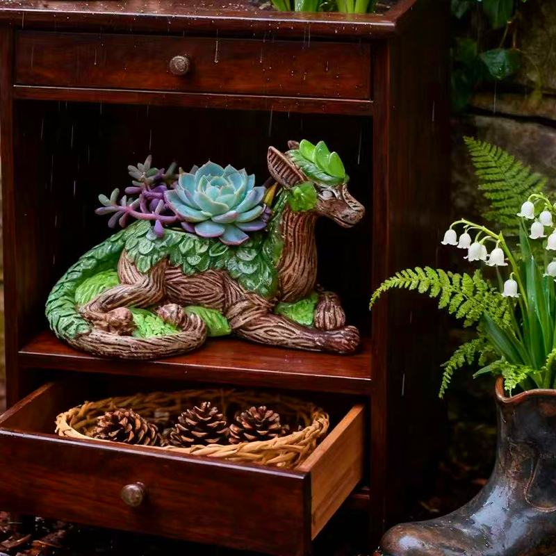 창의적인 용나무 화분 다육 식물 화병 컨테이너 정원 장 - Echeveria Succulent 리뷰 및 가격