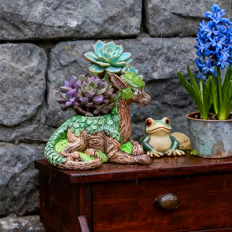 창의적인 용나무 화분 다육 식물 화병 컨테이너 정원 장 - Echeveria Succulent 리뷰 및 가격