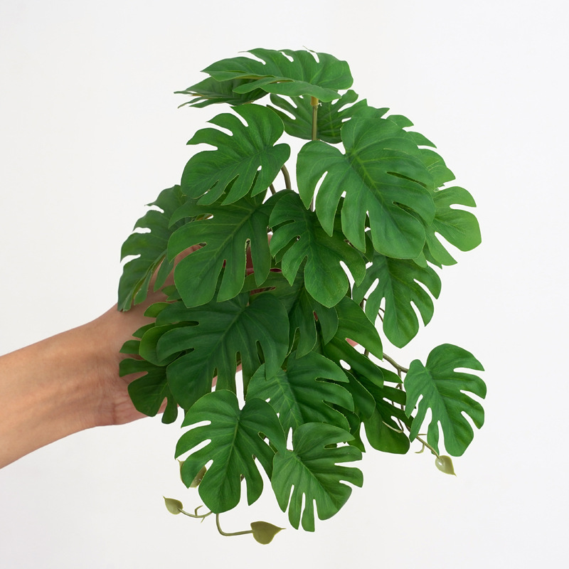 테라리움용 파충류 식물 인조 걸이식물 가짜 몬스테라 가 - Monstera Adansonii 리뷰 및 가격