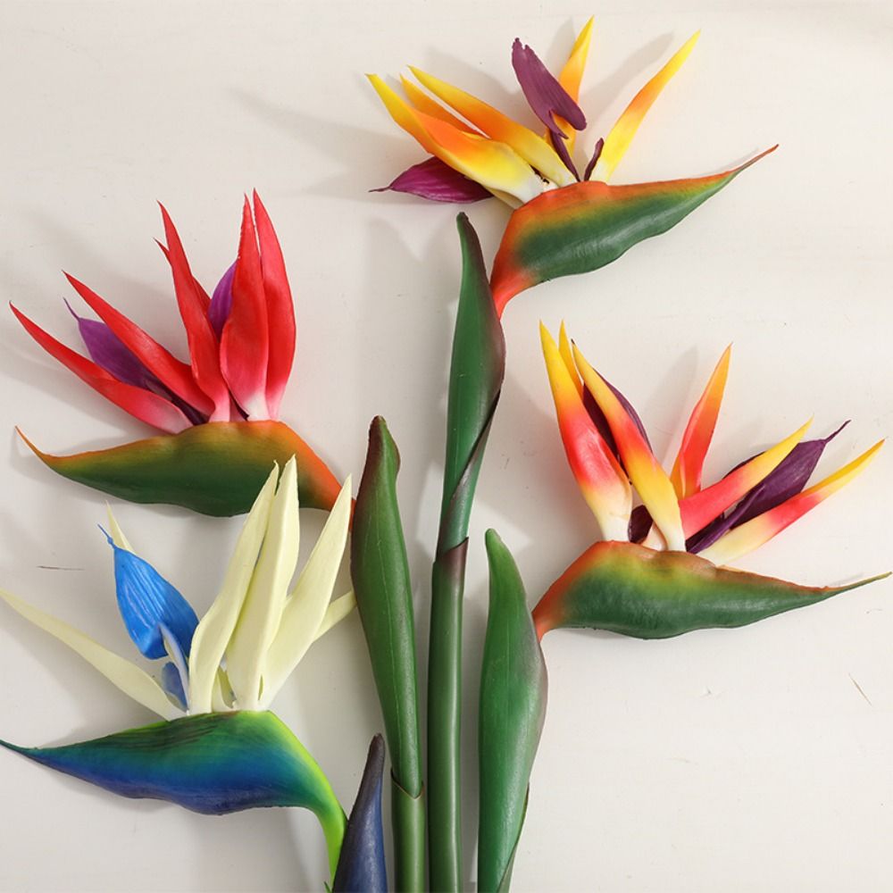 긴 줄기 인조 버드 오브 파라다이스 장식용 DIY 인조 - Bird Paradise Strelitzia 리뷰 및 가격