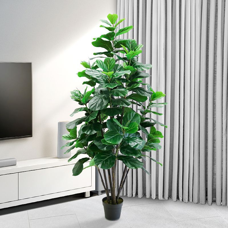 35-150cm 열대 나무 대형 인조 고무나무(피쿠스  - Ficus Lyrata Tree 리뷰 및 가격