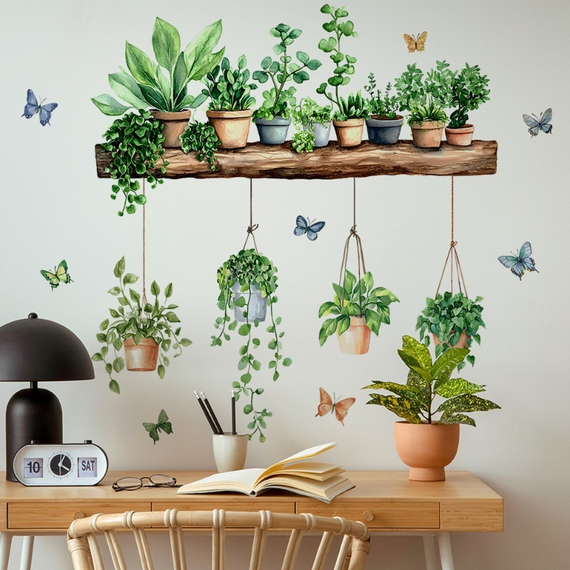 3D 화분에 심은 녹색 식물 선반 벽 데칼, 거실 주방 - Echeveria Succulent 리뷰 및 가격
