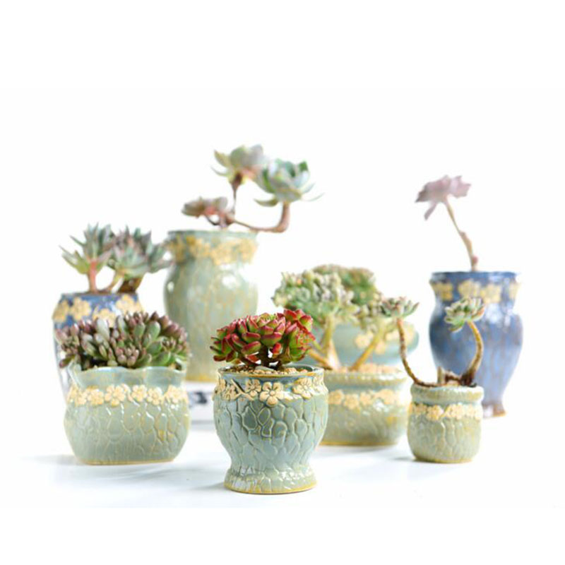 다육 식물 화분 중소형 꽃병 레트로 꽃 화분 크리에이티 - Echeveria Succulent 리뷰 및 가격