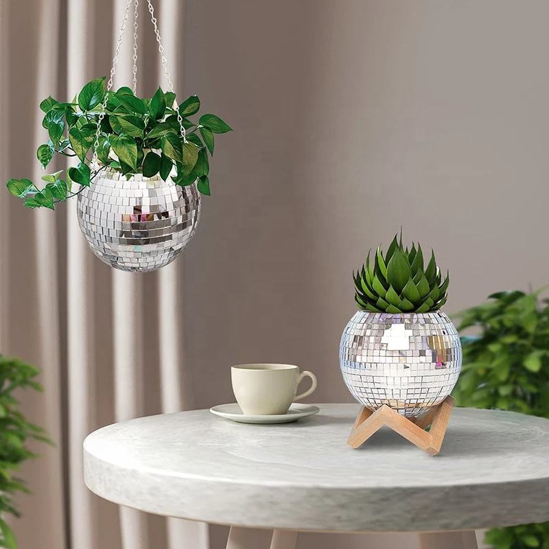 디스코 미러볼 걸이형 화분 바구니 다육식물 화분 실내  - Echeveria Succulent 리뷰 및 가격